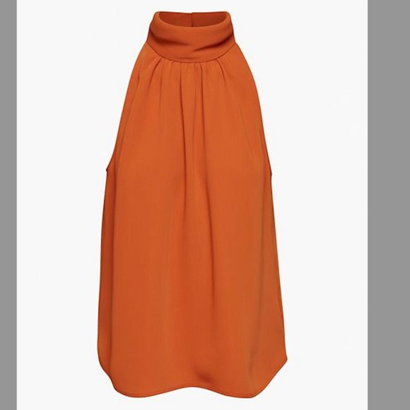 Aritzia Tops - Aritzia Babaton Vitae Blouse